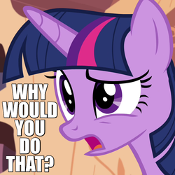 Size: 720x720 | Tagged: safe, screencap, twilight sparkle, alicorn, pony, g4, testing testing 1-2-3, caption, female, image macro, mare, meme, reaction image, solo, twilight sparkle (alicorn), why would you do that