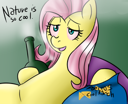 Size: 500x406 | Tagged: artist needed, safe, fluttershy, pegasus, pony, g4, bong, cool ranch doritos, dialogue, doritos, drugs, female, flutterhigh, high, hippieshy, mare, solo