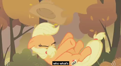 Size: 626x345 | Tagged: safe, screencap, applejack, fall weather friends, g4, confused, female, meme, solo, youtube caption