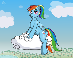 Size: 1000x800 | Tagged: safe, artist:bajanic, rainbow dash, g4, belly button, cloud, cloudy, female, solo