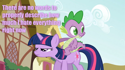 Size: 1054x592 | Tagged: safe, spike, twilight sparkle, g4, grumpy twilight, hate, image macro, meme, purple text, reaction image