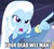 Size: 1494x1350 | Tagged: safe, trixie, equestria girls, g4, guitar centered, my little pony equestria girls: rainbow rocks, caption, female, image macro, meme, pointing, pointing trixie, solo, trixie yells at everything