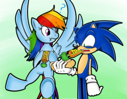 Size: 1500x1174 | Tagged: safe, artist:flam3zero, rainbow dash, hedgehog, pegasus, pony, g4, carrot, carrot dog, chili dog, confused, crossover, disgusted, eating, flying, herbivore, herbivore vs omnivore, male, omnivore, sonic the hedgehog, sonic the hedgehog (series), spread wings, style emulation, yuji uekawa style