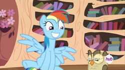 Size: 1920x1080 | Tagged: safe, screencap, owlowiscious, rainbow dash, bird, owl, pegasus, pony, g4, testing testing 1-2-3, grin, hub logo, smiling, stooldash