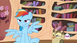 Size: 1920x1080 | Tagged: safe, screencap, owlowiscious, rainbow dash, bird, owl, pegasus, pony, g4, testing testing 1-2-3, hub logo, smiling, stool, stooldash