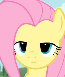 Size: 292x343 | Tagged: safe, screencap, fluttershy, g4, testing testing 1-2-3, close-up, female, solo