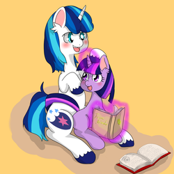 Size: 1024x1024 | Tagged: safe, artist:wonton soup, shining armor, twilight sparkle, g4, book