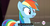 Size: 1600x830 | Tagged: safe, screencap, rainbow dash, g4, testing testing 1-2-3, all new, female, hub logo, meme, solo, text, youtube caption