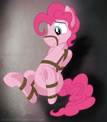Size: 1578x1800 | Tagged: safe, artist:dripponi, pinkie pie, earth pony, pony, adoraberry, belly button, bondage, bound, bubble berry, commission, commissioner:navelcolt, cute, gag, male, muzzle, muzzle gag, nervicited, presenting, rope, rope bondage, rope gag, rule 63, rule63betes, shibari, show off, solo, underhoof, wavy mouth