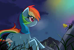 Size: 1063x718 | Tagged: dead source, safe, artist:misspolycysticovary, rainbow dash, pegasus, pony, g4, female, night, solo