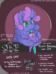 Size: 800x1046 | Tagged: safe, artist:smawtymustdie, fluffy pony, fluffy pony foal, fluffy pony mother, pet store, poster