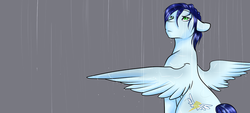 Size: 1280x576 | Tagged: safe, artist:azure-doodle, soarin', pony, g4, gray background, looking up, male, rain, simple background, sitting, solo, spread wings, stallion, wet mane, wings