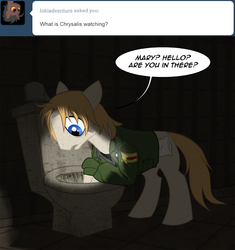 Size: 700x746 | Tagged: artist needed, safe, cutie mark, fail, funny, james sunderland, konami, pillow, ponified, silent hill, toilet, tumblr, worried