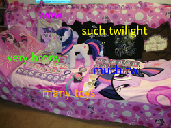 Size: 1264x952 | Tagged: safe, twilight sparkle, g4, doge, jin, meme, twilight collection