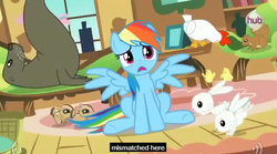 Size: 631x351 | Tagged: safe, screencap, rainbow dash, chicken, chipmunk, rabbit, sea lion, seal, squirrel, g4, magical mystery cure, chick, hub logo, meme, what my cutie mark is telling me, youtube caption