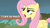 Size: 960x540 | Tagged: safe, fluttershy, g4, female, image macro, meme, solo