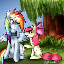 Size: 1024x1024 | Tagged: safe, artist:keyace, apple bloom, rainbow dash, g4, blushing, collar, cute, duo, tree