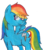 Size: 900x1035 | Tagged: safe, artist:wolfishmeow, rainbow dash, g4, female, solo