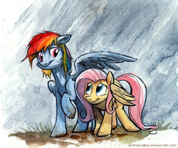 Size: 650x541 | Tagged: safe, artist:kenket, artist:spainfischer, fluttershy, rainbow dash, pony, g4, covering, dirty, eye contact, mud, rain, wet mane, wings