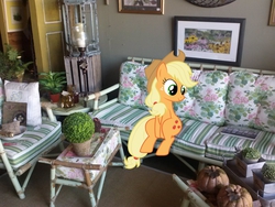 Size: 2592x1944 | Tagged: safe, artist:sunran80, artist:tokkazutara1164, applejack, g4, furniture, irl, painting, photo, plant, ponies in real life, shadow, sitting, solo, vector
