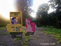 Size: 1064x798 | Tagged: safe, artist:digitalpheonix, artist:emedina13, pinkie pie, twilight sparkle, g4, booth, irl, lens flare, lucy's advice booth, parody, peanuts, photo, pinkamena diane pie, ponies in real life, sunset, tree, vector