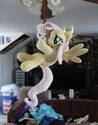 Size: 3456x4416 | Tagged: safe, artist:sirdragonlance, angel bunny, fluttershy, g4, flying, irl, photo, plushie