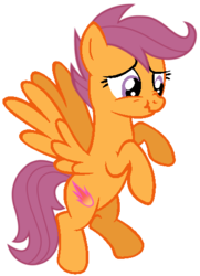 Size: 368x509 | Tagged: safe, artist:dreamcasterpegasus, scootaloo, pegasus, pony, g4, female, flying, mare, older, older scootaloo, scrunchy face, simple background, solo, spread wings, transparent background, wings