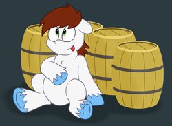 Size: 1280x935 | Tagged: safe, artist:sketchymouse, oc, oc only, oc:harmony hope, pegasus, pony, chubby, cider, colt, fat, inflation, male, underhoof, unshorn fetlocks, water inflation, weight gain