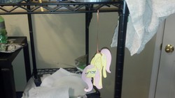 Size: 1280x722 | Tagged: safe, artist:danadyu, fluttershy, g4, female, jumped-out-pinkieanswers, paper child, solo