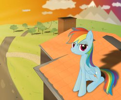 Size: 981x814 | Tagged: safe, artist:farminilla, rainbow dash, g4, female, solo, sunset