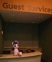 Size: 720x863 | Tagged: artist needed, safe, twilight sparkle, human, g4, cute, desk, hotel, irl, irl human, photo, plushie