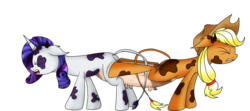 Size: 1280x569 | Tagged: safe, artist:novaspark, applejack, rarity, cow, cow pony, pony, unicorn, g4, applecow, clopfic in description, conjoined, fusion, magic fail, raricow, shipping, simple background, species swap, spell gone wrong, story included, together forever, transparent background, udder, we have become one