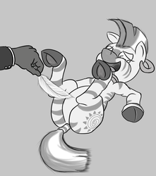 Size: 885x1000 | Tagged: safe, artist:midnight-wizard, zecora, zebra, g4, belly, crying, feather, featureless crotch, female, grayscale, hand, laughing, legs in air, monochrome, on back, open mouth, smiling, solo, tickling, underhoof
