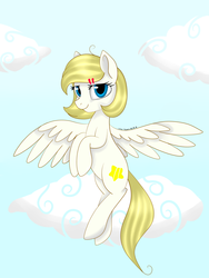 Size: 5000x6666 | Tagged: safe, artist:lace_felora, oc, oc only, pegasus, pony, absurd resolution, solo