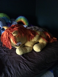 Size: 2448x3264 | Tagged: artist needed, safe, spitfire, g4, cute, irl, photo, plushie