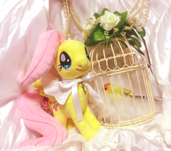 Size: 730x644 | Tagged: safe, fluttershy, bird, g4, asklolitashy, irl, nici, photo, plushie