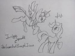 Size: 1000x750 | Tagged: source needed, safe, trixie, twilight sparkle, alicorn, pony, g4, female, lesbian, mare, monochrome, ship:twixie, shipping, traditional art, twilight sparkle (alicorn)