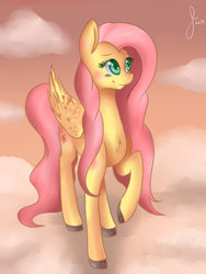 Size: 1200x1600 | Tagged: safe, artist:saoiirse, fluttershy, g4, female, solo
