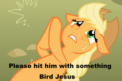 Size: 944x623 | Tagged: safe, applejack, g4, applepray, female, image macro, meme, solo, twitch plays pokémon