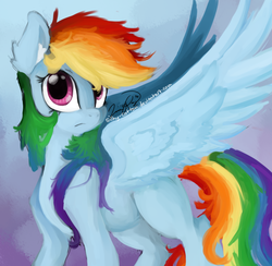 Size: 886x863 | Tagged: safe, artist:silky-cotton, rainbow dash, g4, female, solo