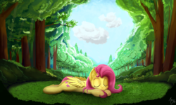 Size: 3200x1920 | Tagged: safe, artist:tivy, fluttershy, g4, female, scenery, sleeping, solo