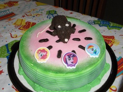Size: 2304x1728 | Tagged: safe, artist:watermelonrat, pinkie pie, rainbow dash, twilight sparkle, rat, g4, cake, irl, photo, watermelon