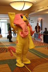 Size: 3456x5184 | Tagged: safe, fluttershy, human, g4, cosplay, fursuit, irl, irl human, photo