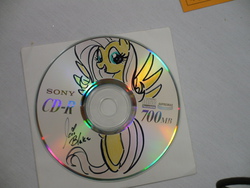 Size: 3072x2304 | Tagged: safe, fluttershy, pegasus, pony, g4, cd, high res, irl, photo, spread wings, traditional art, wings