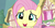 Size: 1536x812 | Tagged: safe, screencap, fluttershy, g4, my little pony: friendship is magic, twilight's kingdom, female, happy, hub logo, meme, solo, youtube caption