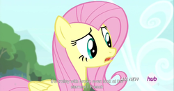 Size: 1536x812 | Tagged: safe, screencap, fluttershy, g4, twilight's kingdom, female, hub logo, meme, solo, youtube caption