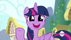 Size: 1920x1080 | Tagged: safe, screencap, twilight sparkle, alicorn, pony, g4, female, hub logo, mare, solo, twilight sparkle (alicorn)