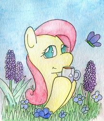 Size: 750x870 | Tagged: safe, artist:phano, fluttershy, butterfly, g4, female, flower, solo, tea, traditional art