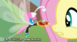 Size: 851x469 | Tagged: safe, artist:klystron2010, fluttershy, seabreeze, breezie, g4, it ain't easy being breezies, female, male, season 4 in about 50 seconds, spaghetti, swedish chef, the muppets