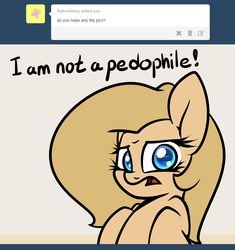 Size: 800x850 | Tagged: safe, artist:slavedemorto, oc, oc only, oc:backy, pony, ask, frown, implied pedophilia, looking at you, open mouth, simple background, solo, tumblr